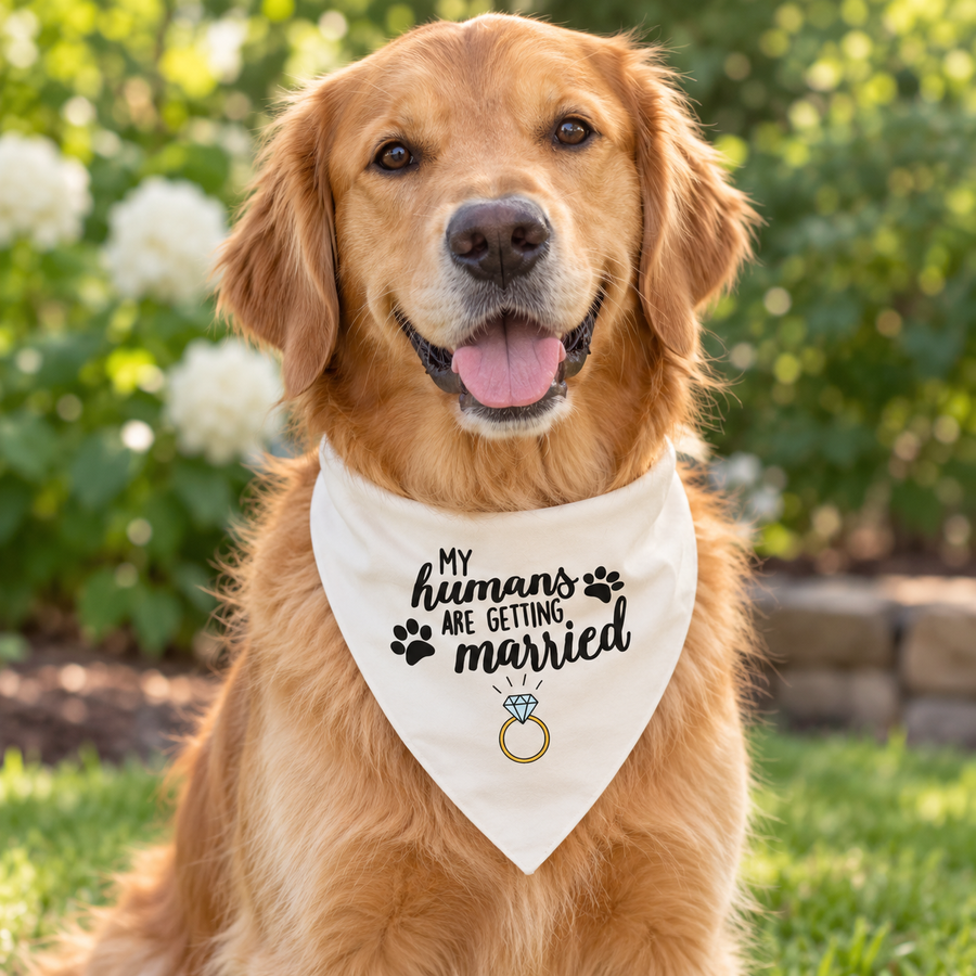 My Humans Are Getting Married Dog Bandana
